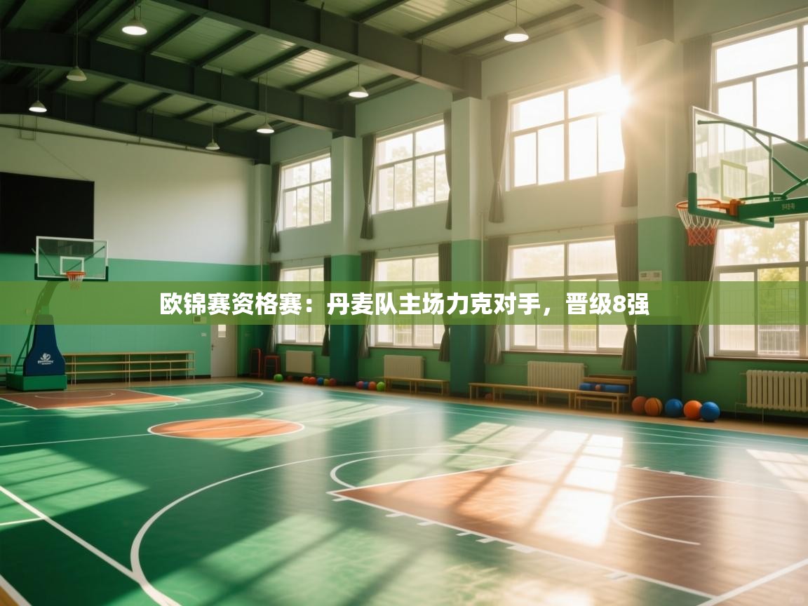 欧锦赛资格赛：丹麦队主场力克对手，晋级8强  第2张