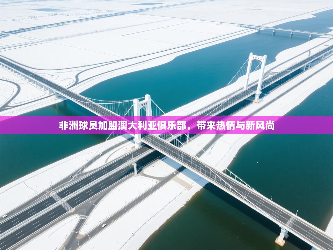 非洲球员加盟澳大利亚俱乐部，带来热情与新风尚  第2张