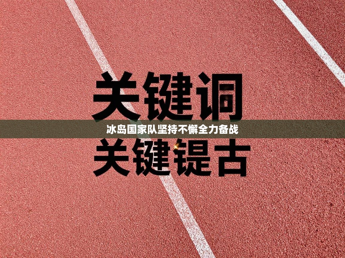 冰岛国家队坚持不懈全力备战 第2张