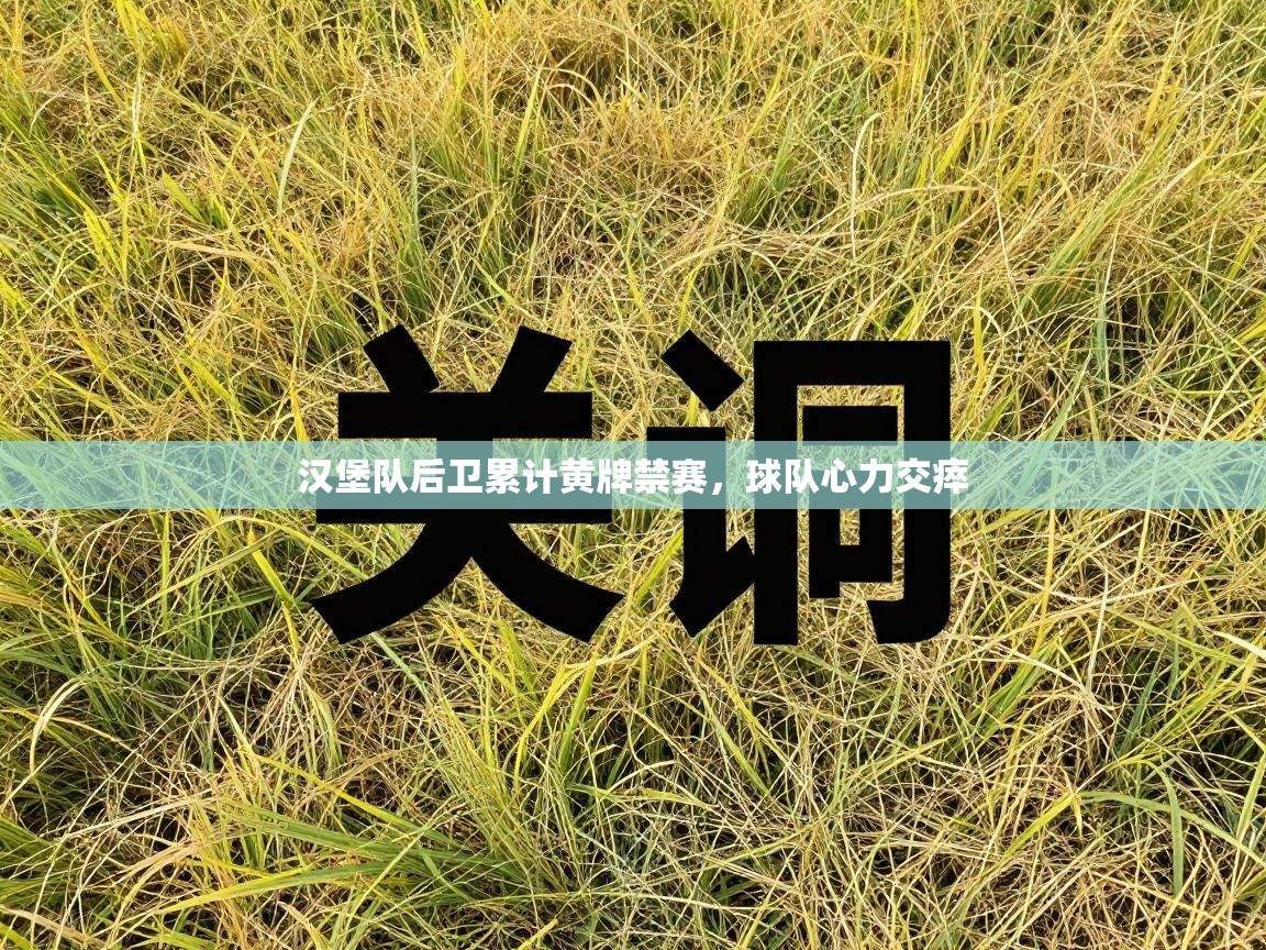 汉堡队后卫累计黄牌禁赛,球队心力交瘁 第1张