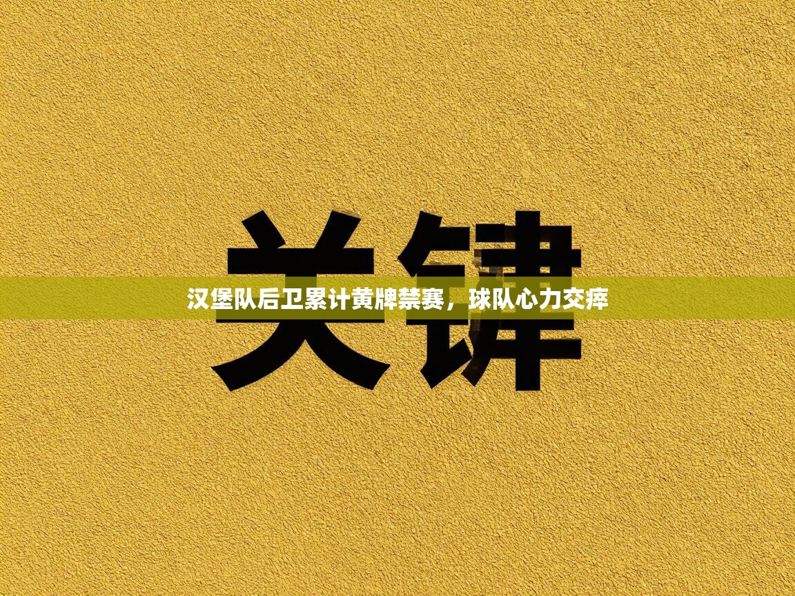 汉堡队后卫累计黄牌禁赛,球队心力交瘁 第2张