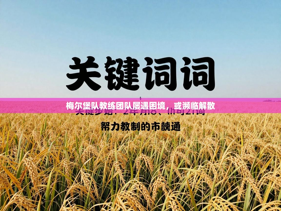 梅尔堡队教练团队屡遇困境，或濒临解散  第1张